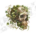 Silityskuva: Ivy Skull