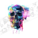 Silityskuva: Art Skull