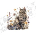 Silityskuva: Maine coon 2