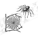 Silityskuva: Spider + web