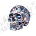 Silityskuva: Crystallic Skull