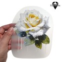 Silityskuva: White Rose