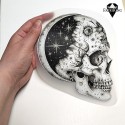 Silityskuva: Moon Skull 1