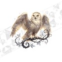 Silityskuva: Mystic Owl