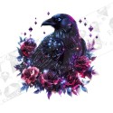 Silityskuva: Galaxy Raven