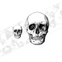 Silityskuva: Skulls