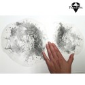 Silityskuva: Spider webs (2kpl)