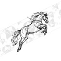 Silityskuva: Horse